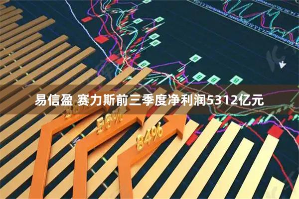 易信盈 赛力斯前三季度净利润5312亿元