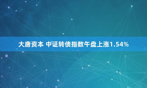 大唐资本 中证转债指数午盘上涨1.54%
